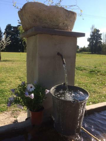Safraniere Des Sorgues Guest House Le Thor Exterior photo